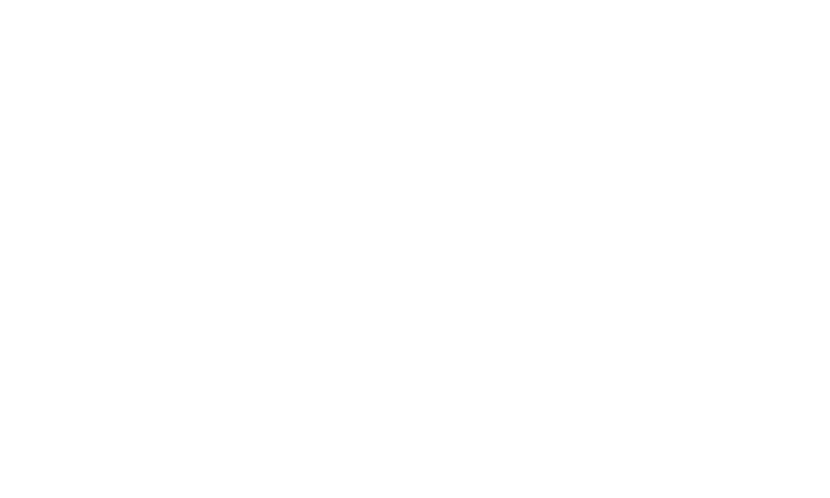 autotorino